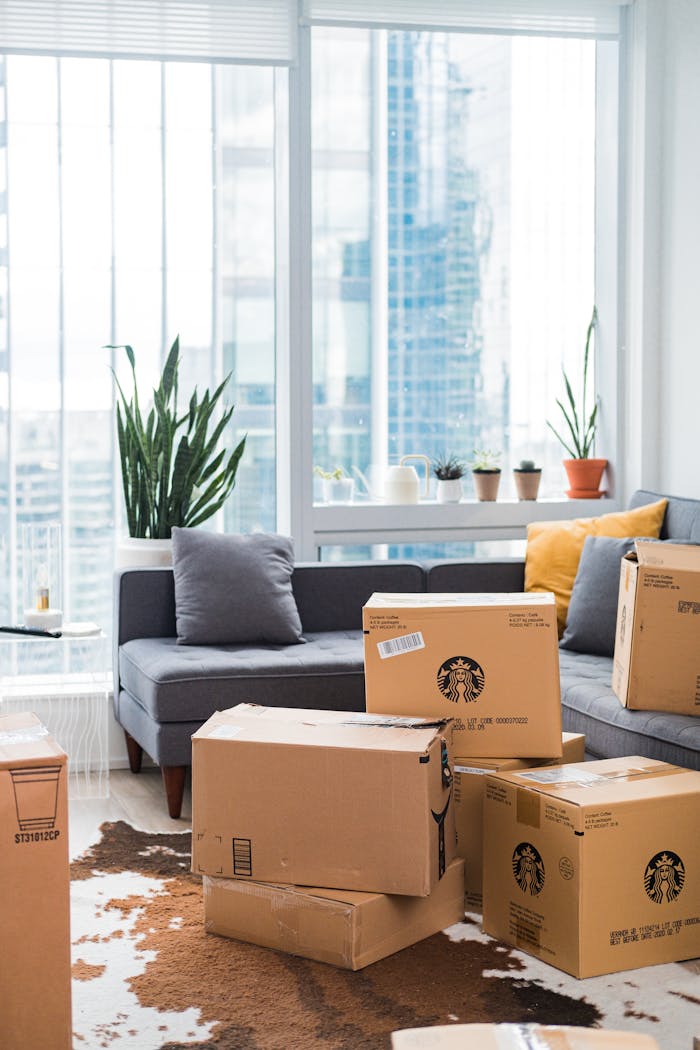 cardboard-boxes-on-living-room-3434533 Entreprise de déménagement à Bruxelles